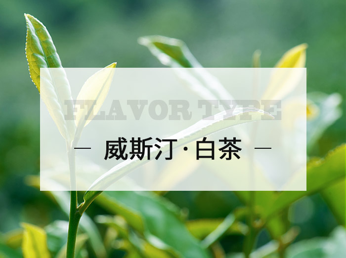 威斯汀·白茶/Westin white tea